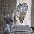 Natural marble statue of outdoor large marble lion stone statue